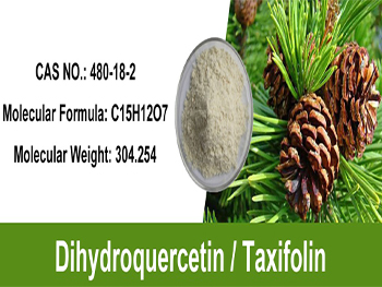 What Is Dihydroquercetin Powder Used For?